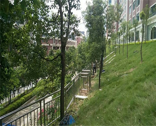 校園不銹鋼護(hù)欄案例